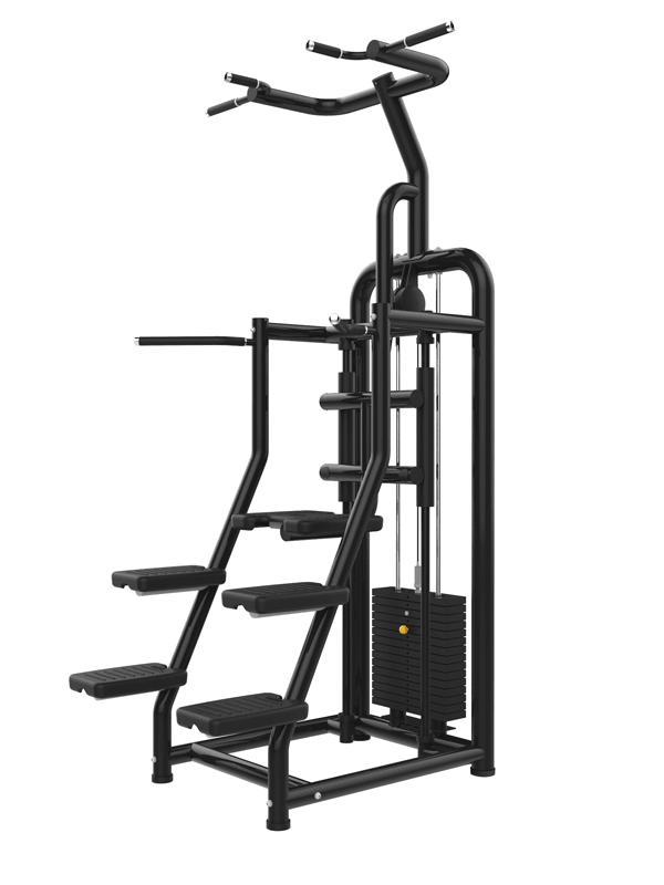 Vogue Assisted Chin/Dip - Muscle D Fitness - Adjustable - Pin Selectorized - Back Tricep Combo