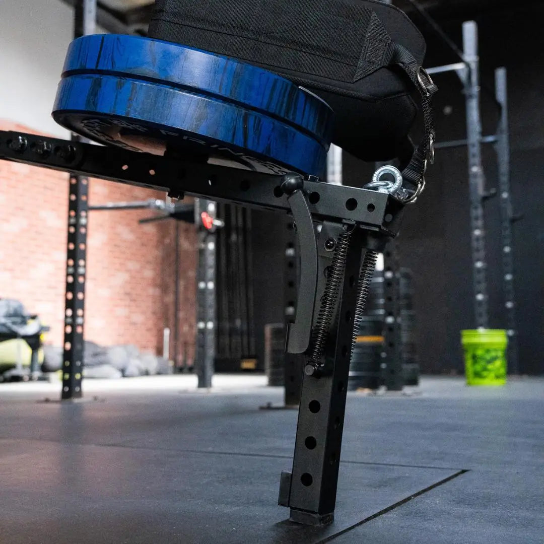 Fringe Sport Mammoth Belt Squat (With Free Belt)