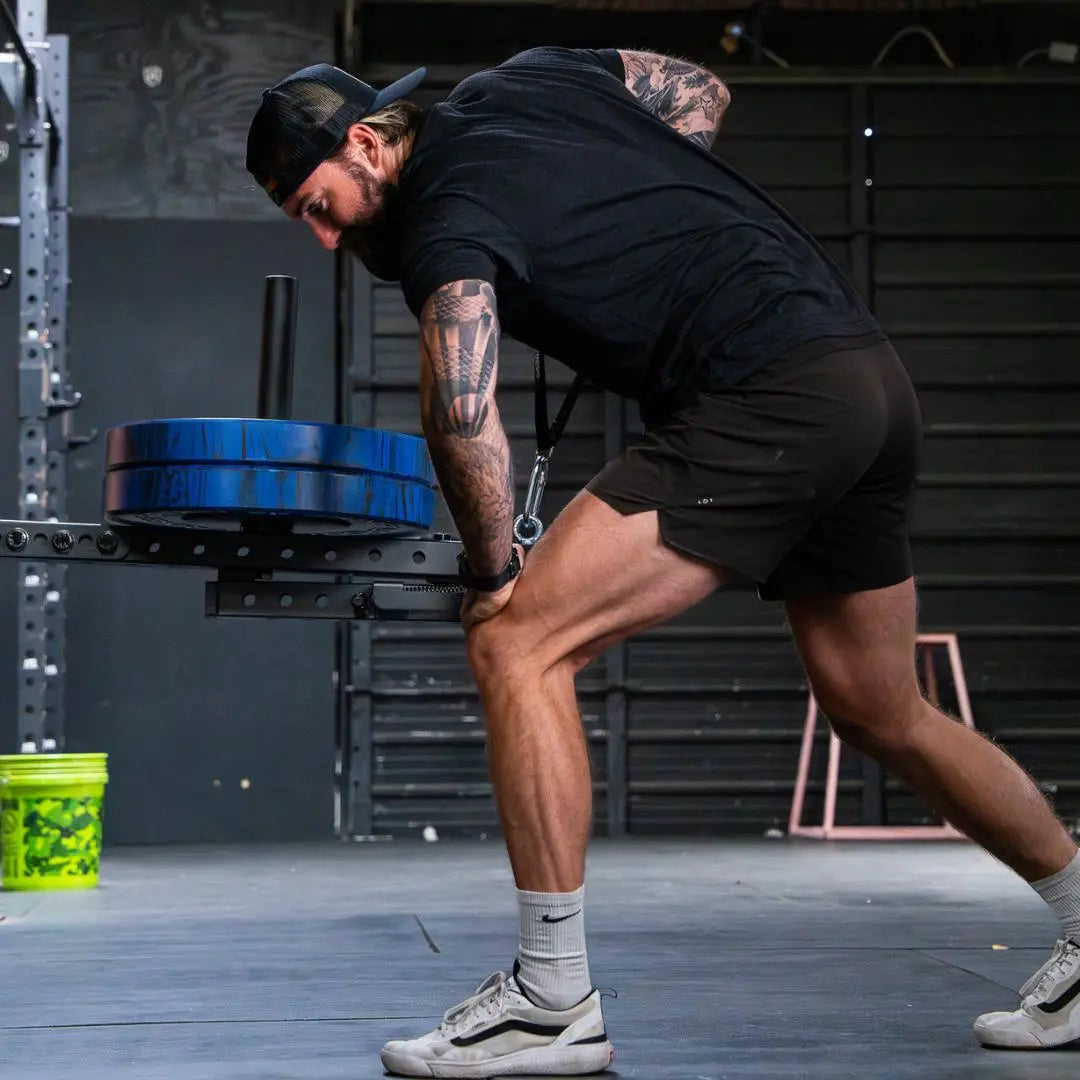 Fringe Sport Mammoth Belt Squat (With Free Belt)