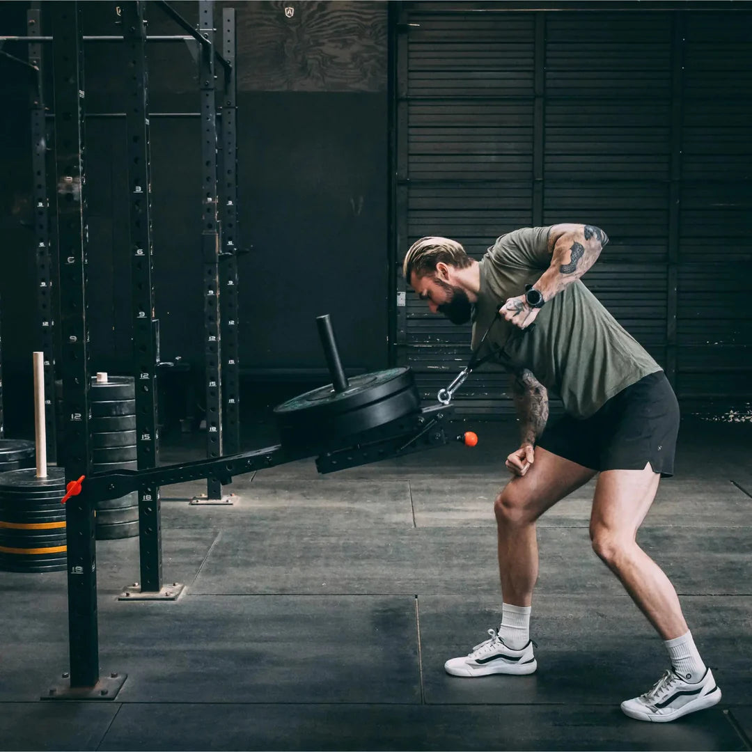 Fringe Sport Mammoth Belt Squat (With Free Belt)