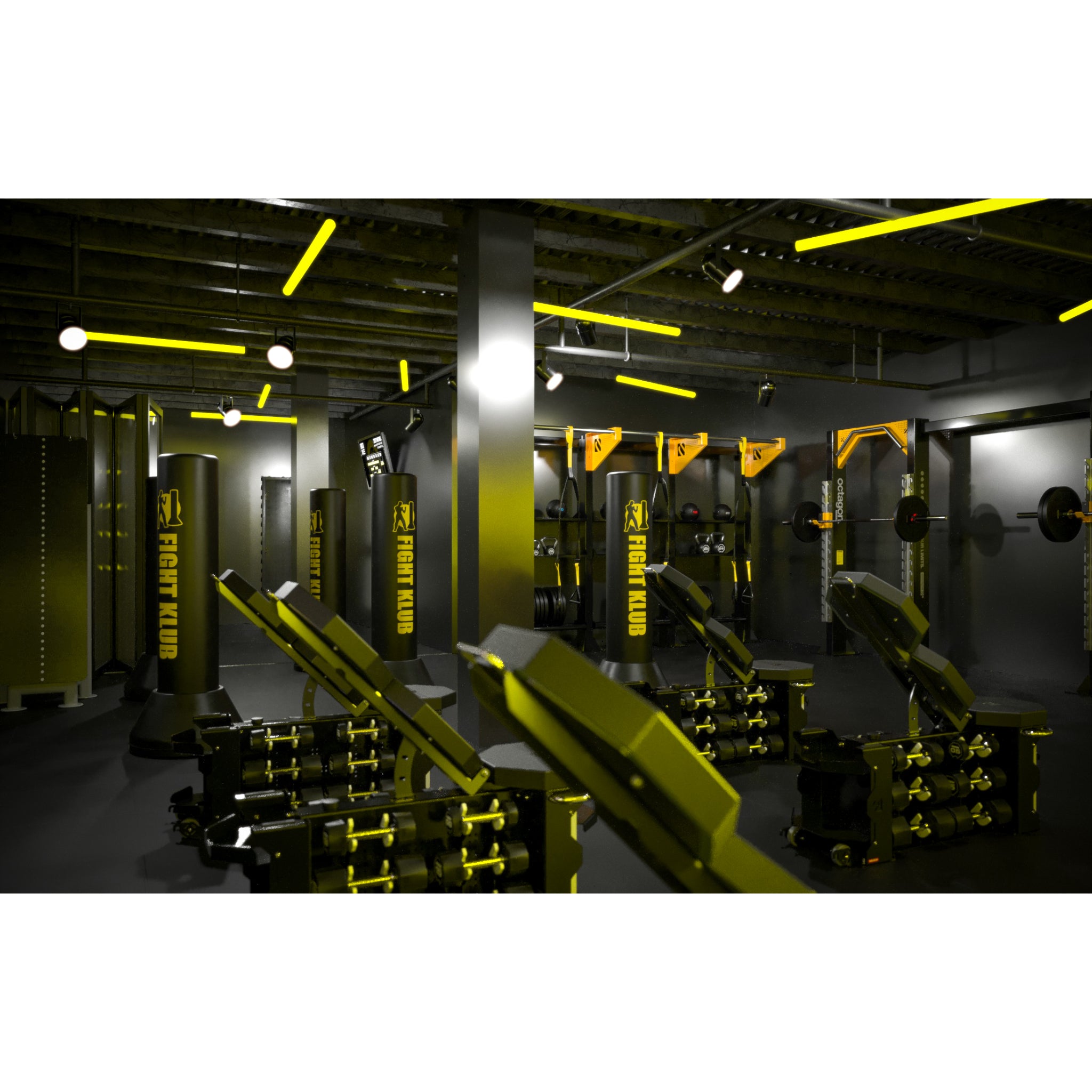 Escape Fitness STRONGBOX – All-In-One Workout Bench & Gym Storage