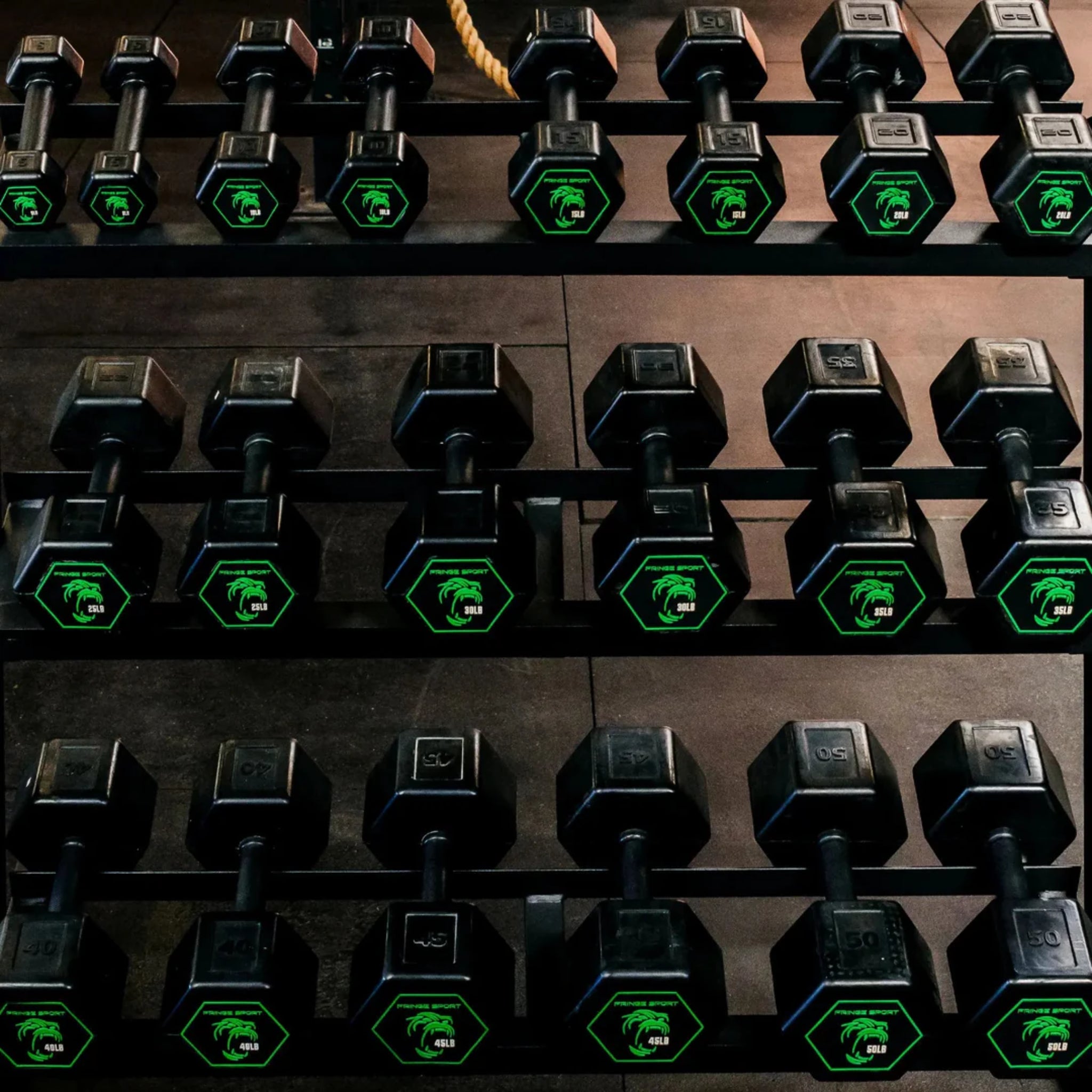 Fringe Sport Silverback Rubber Dumbbell Set – 80 to 100 lb (5 Pairs)