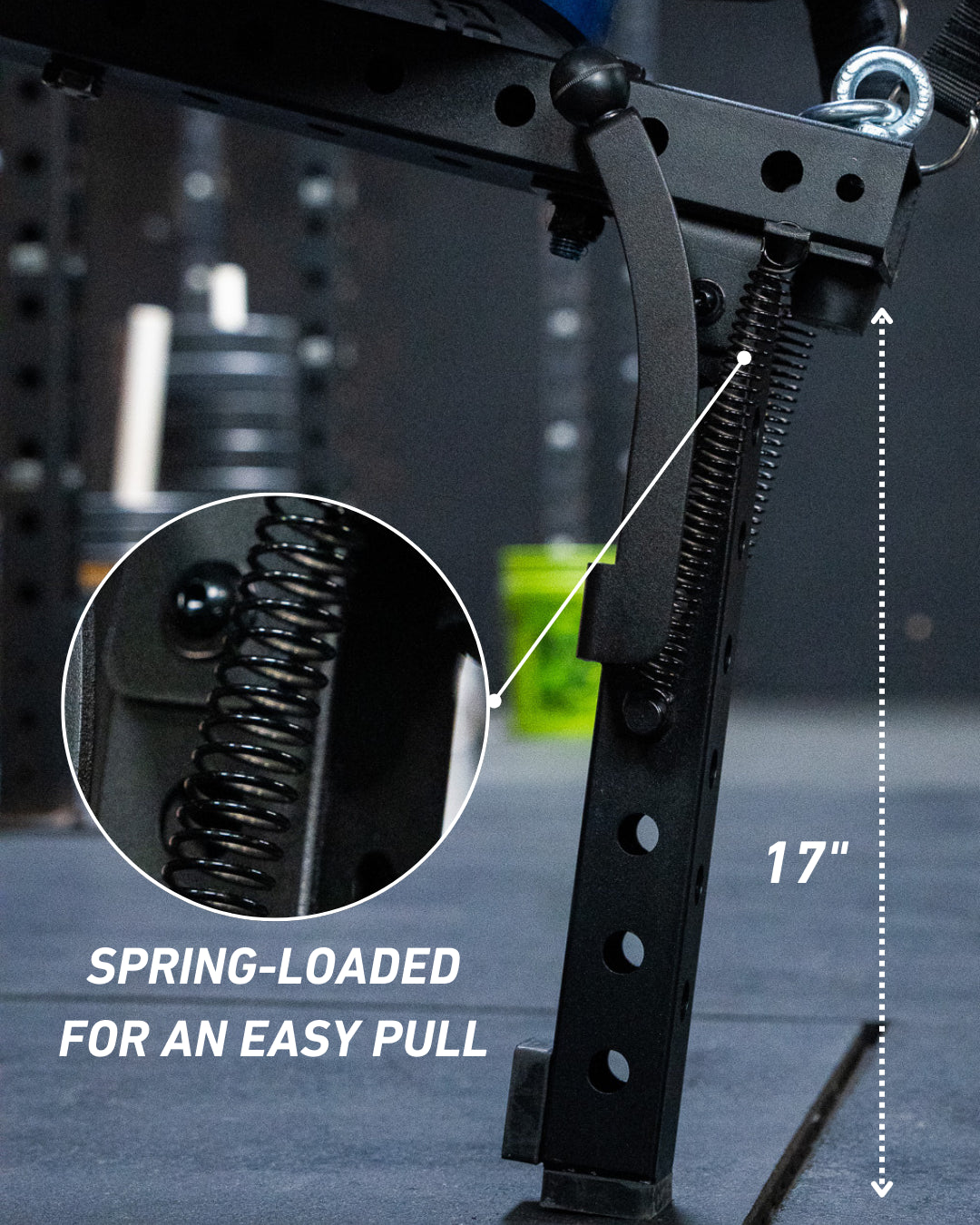 Fringe Sport Mammoth Belt Squat (With Free Belt)