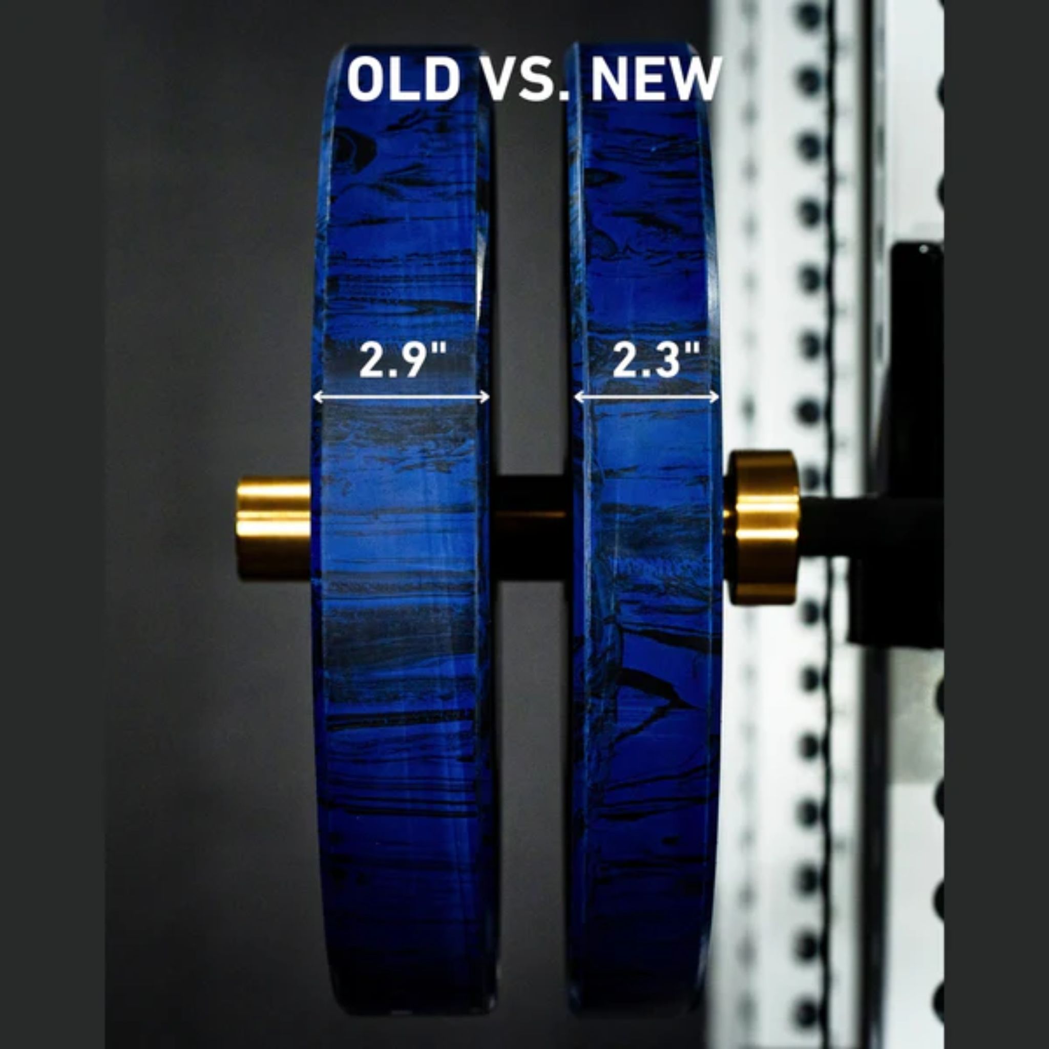 Fringe Sport Savage Bumper Weight Plates Pair 45 lb Each Plate Blue