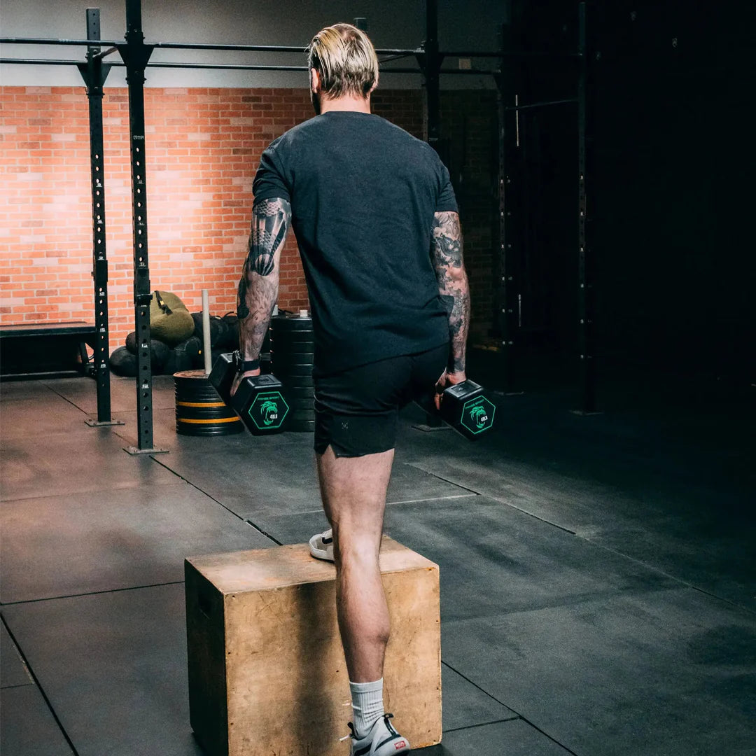 Fringe Sport Silverback Rubber Dumbbell Set – 80 to 100 lb (5 Pairs)